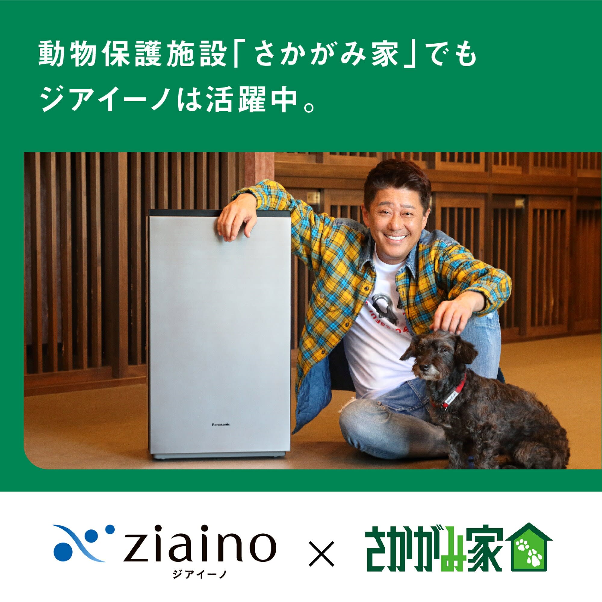 未開封 パナソニック 次亜塩素酸 空間除菌脱臭機 交換用保護エレメント×2 パナソニック 次亜塩素酸 空間除菌脱臭機 ジアイーノ | 株式会社